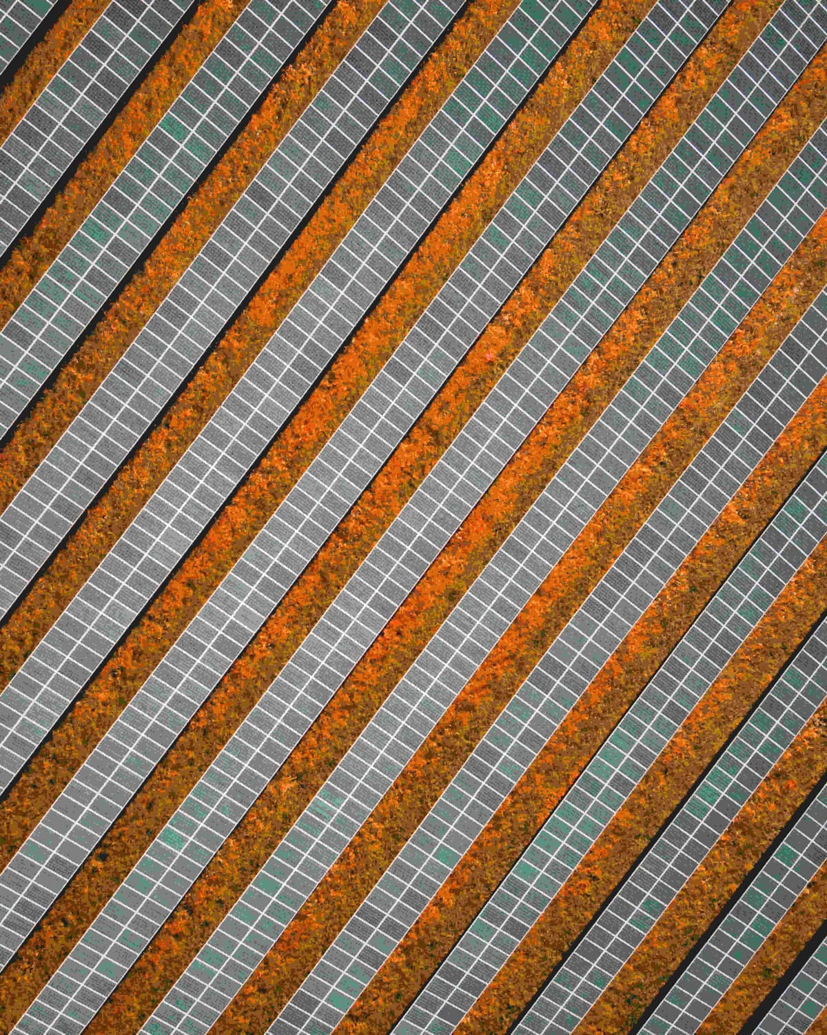 barneyelo-solar-5281673